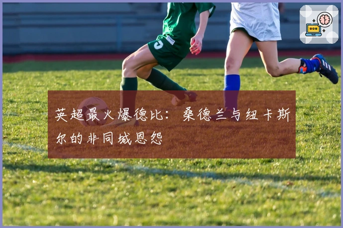 英超最火爆德比：桑德兰与纽卡斯尔的非同城恩怨